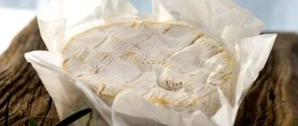camembert