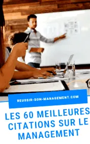 despre management