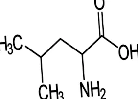 bcaa