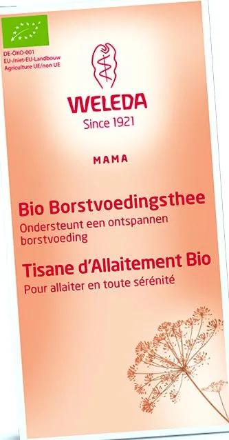 maternitatea