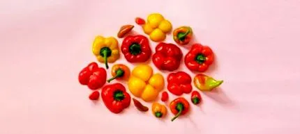 paprika