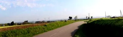 colectivă
