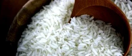 egyetlen