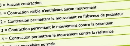 prescrie exerciții