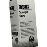 spongia