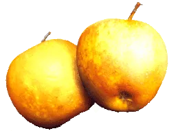 Alma pektin