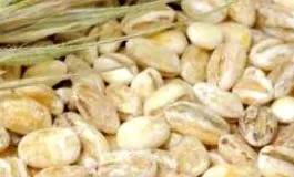 sănătatea