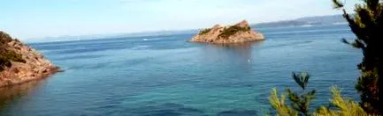 franța
