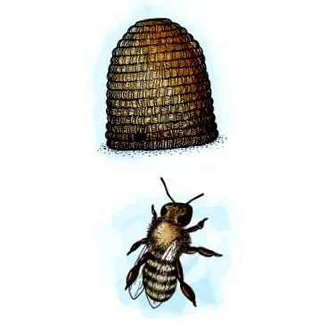 pollen előnyei