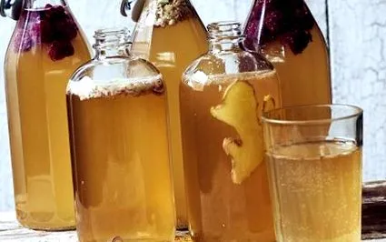 kombucha