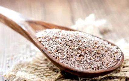 egészségedre psyllium