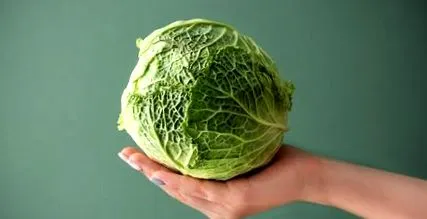dietă