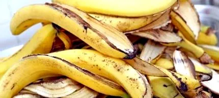 descoperă