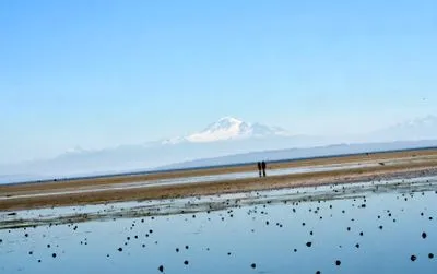leküzdése