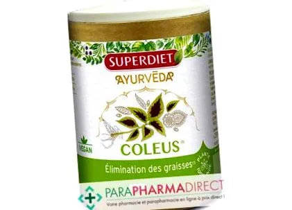 coleus