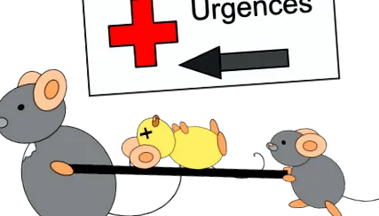 állat testhőmérséklete