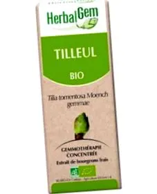 tilia tomentosa