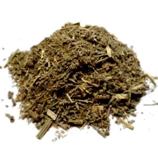 artemisia