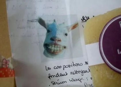 nsp-mel