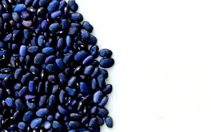 proteine