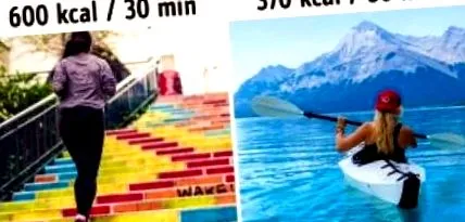 lefogy lefogy