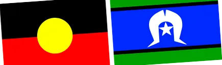 steroizi