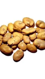 szárított