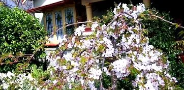 katoomba