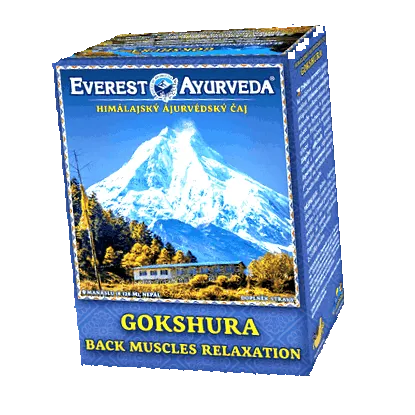 Everest Ayurveda