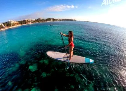 paddle