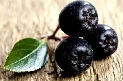 berry