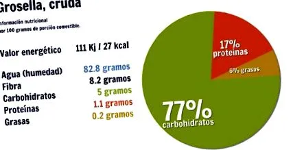 energia ribizli
