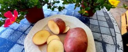 засищащи
