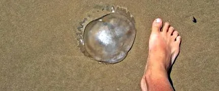 harapására
