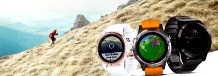 fenix