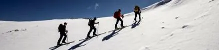 ibex