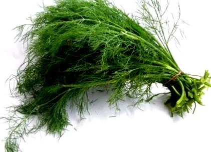 tarbes aromák