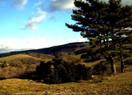 plateau