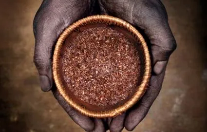 útmutató rooibos