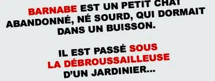 barnabé