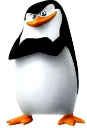felújítása