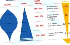 ütés perc