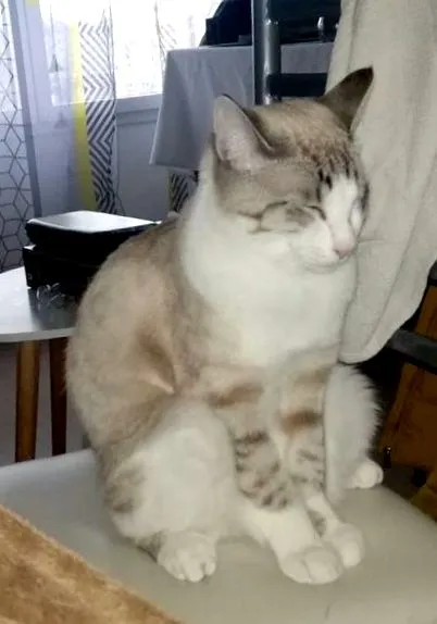 alert