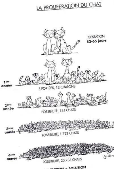 veterinară clinica