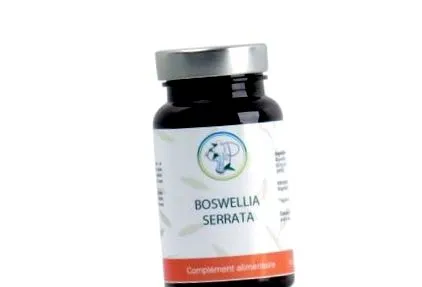 serrata