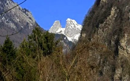 binocluri