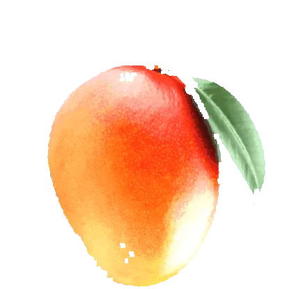 cocowhey