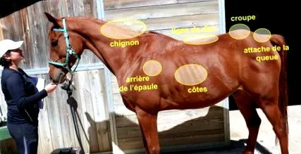 dacă