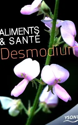desmodium
