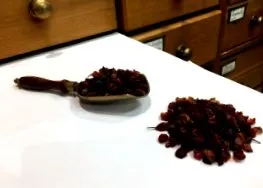 fructe